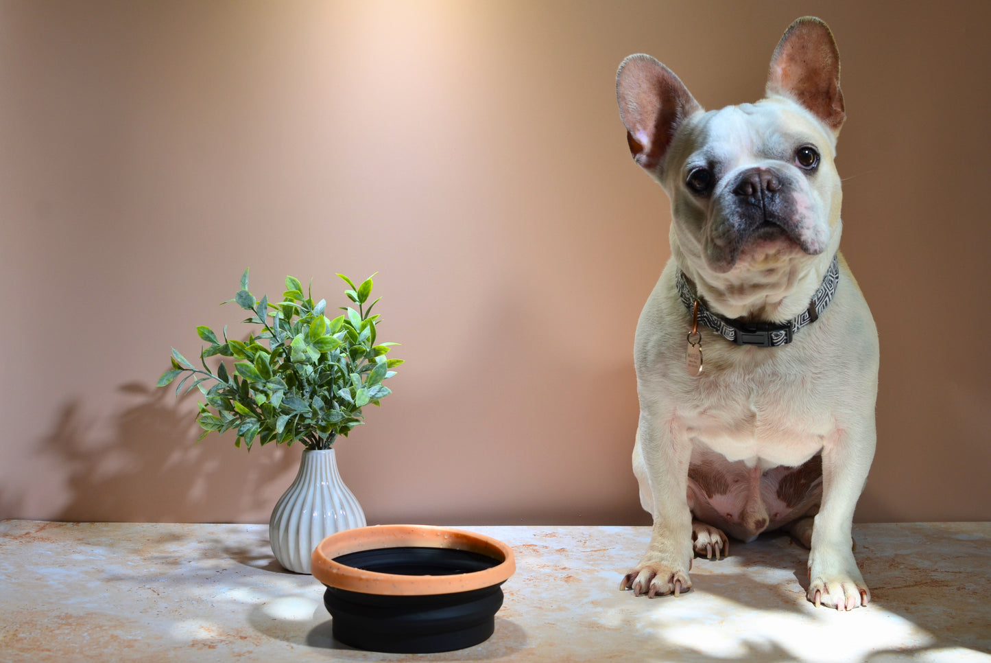 Sippin' Pretty Water Bowl